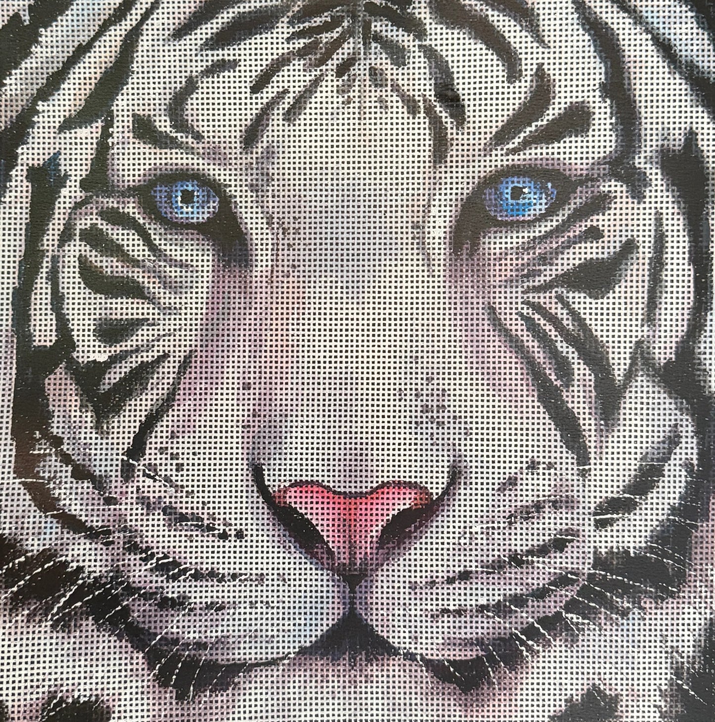 Close Up Siberian Tiger Face