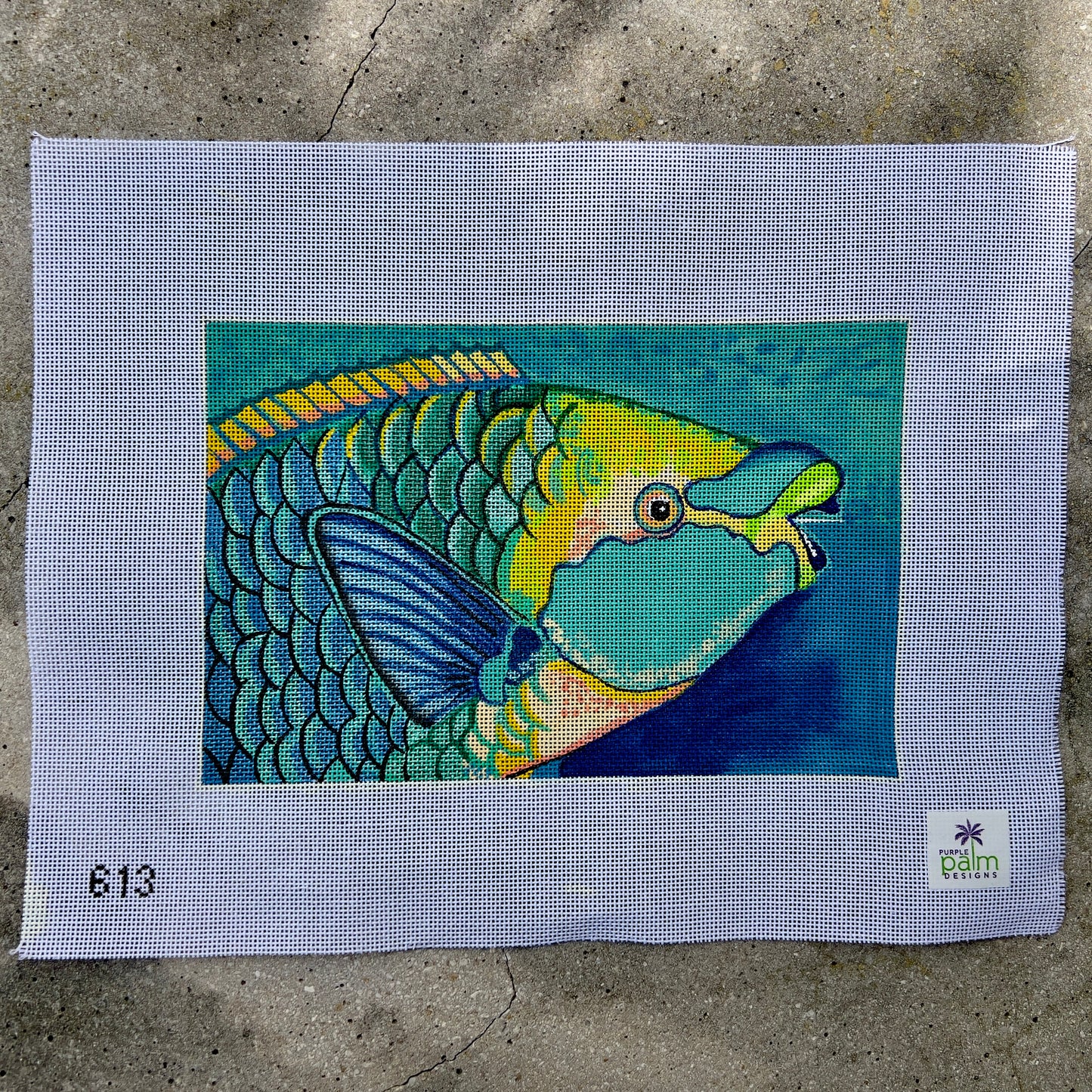 Parrot Fish