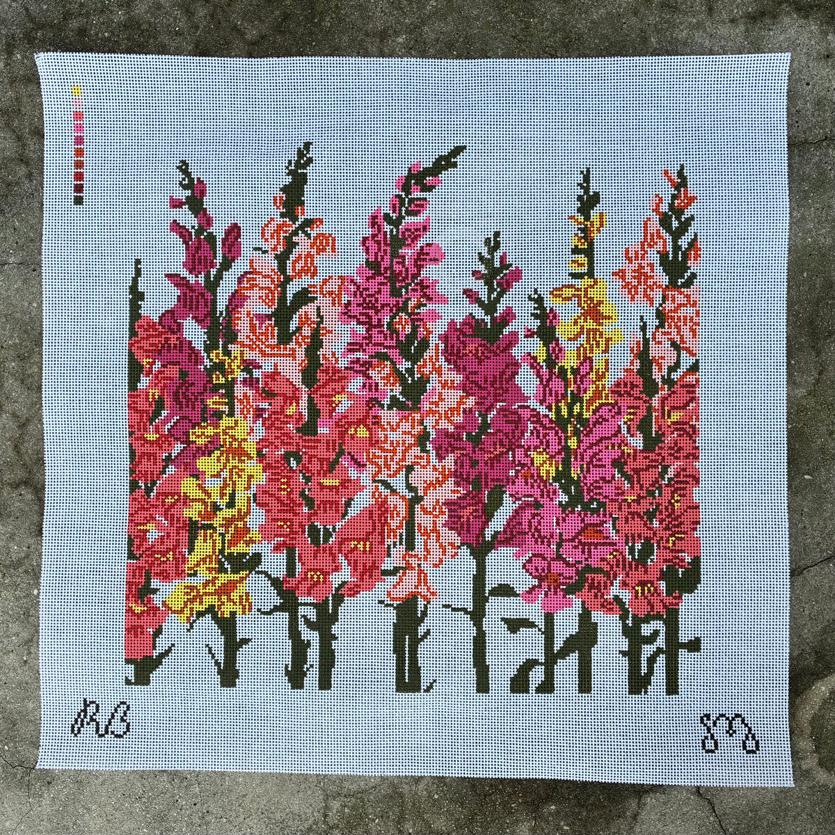 Snapdragons