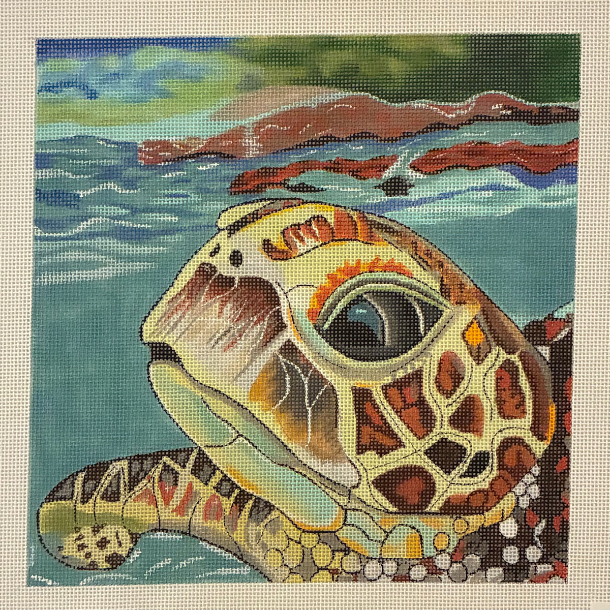 Loggerhead Reflections Turtle