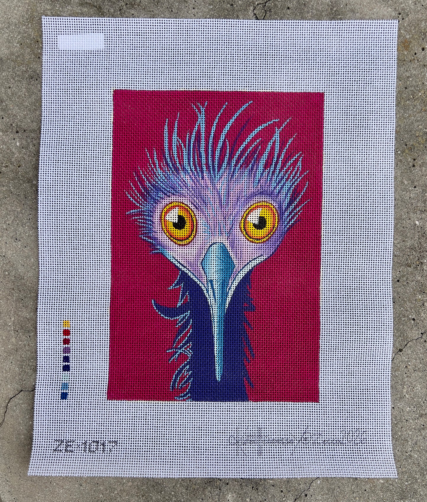 Bug Eyed Bird