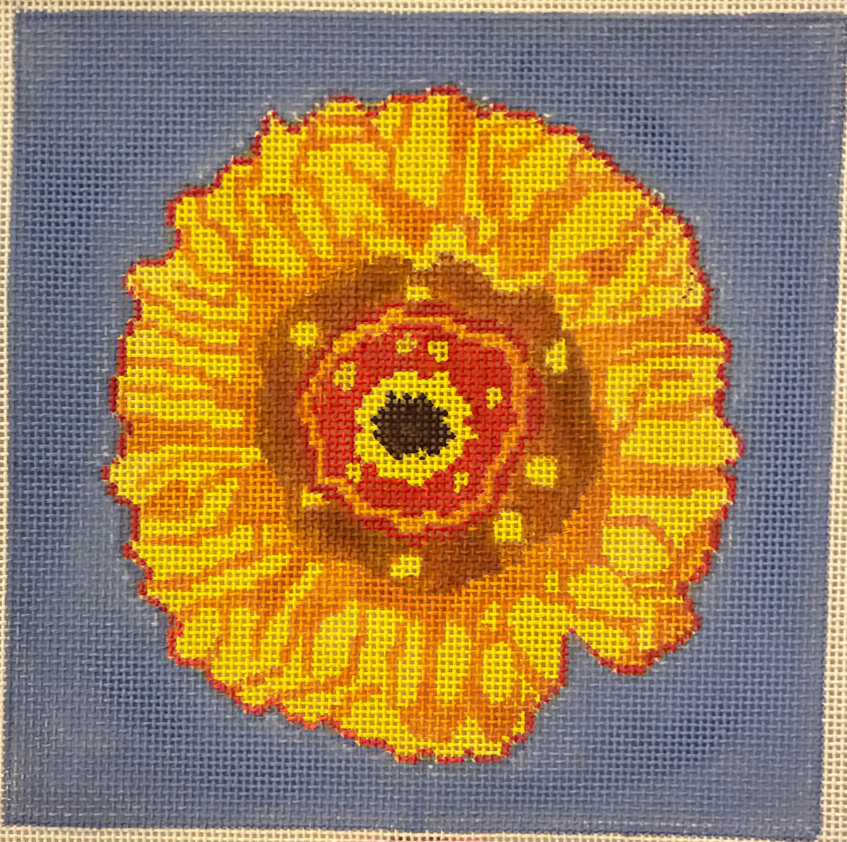 Gerber Daisy