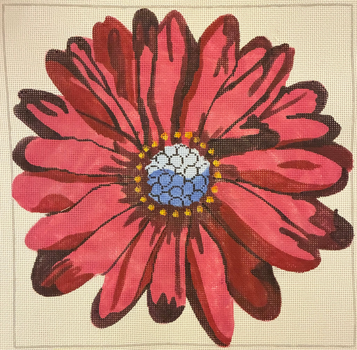 Burgundy Daisy
