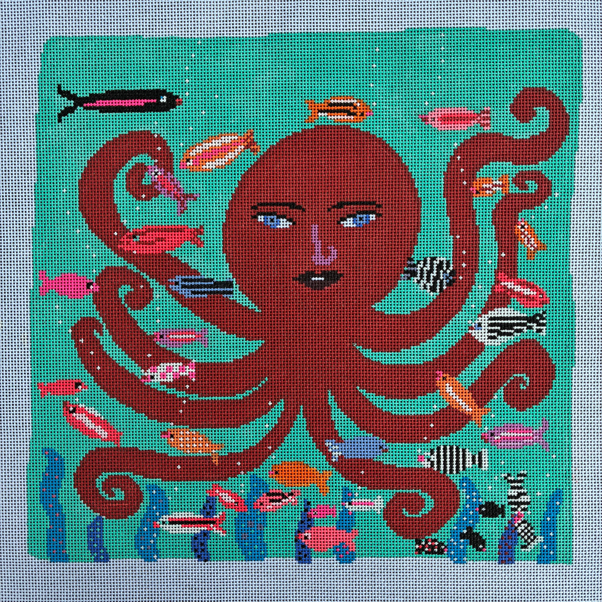 Octopus