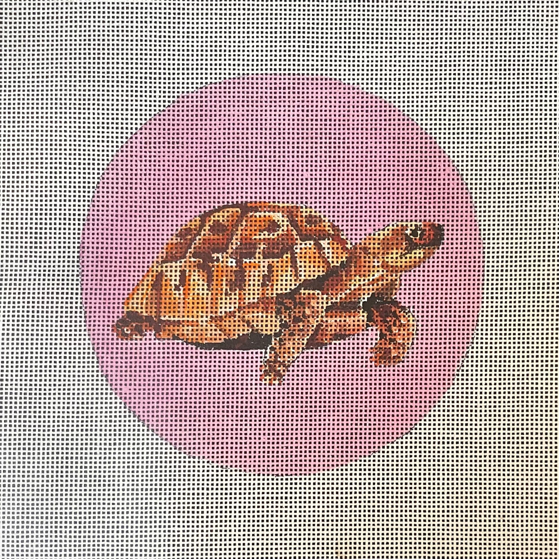 Turtle on Pink Ornament Round