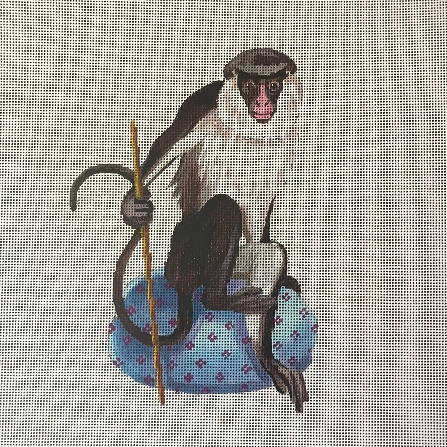Monkey on Cushion