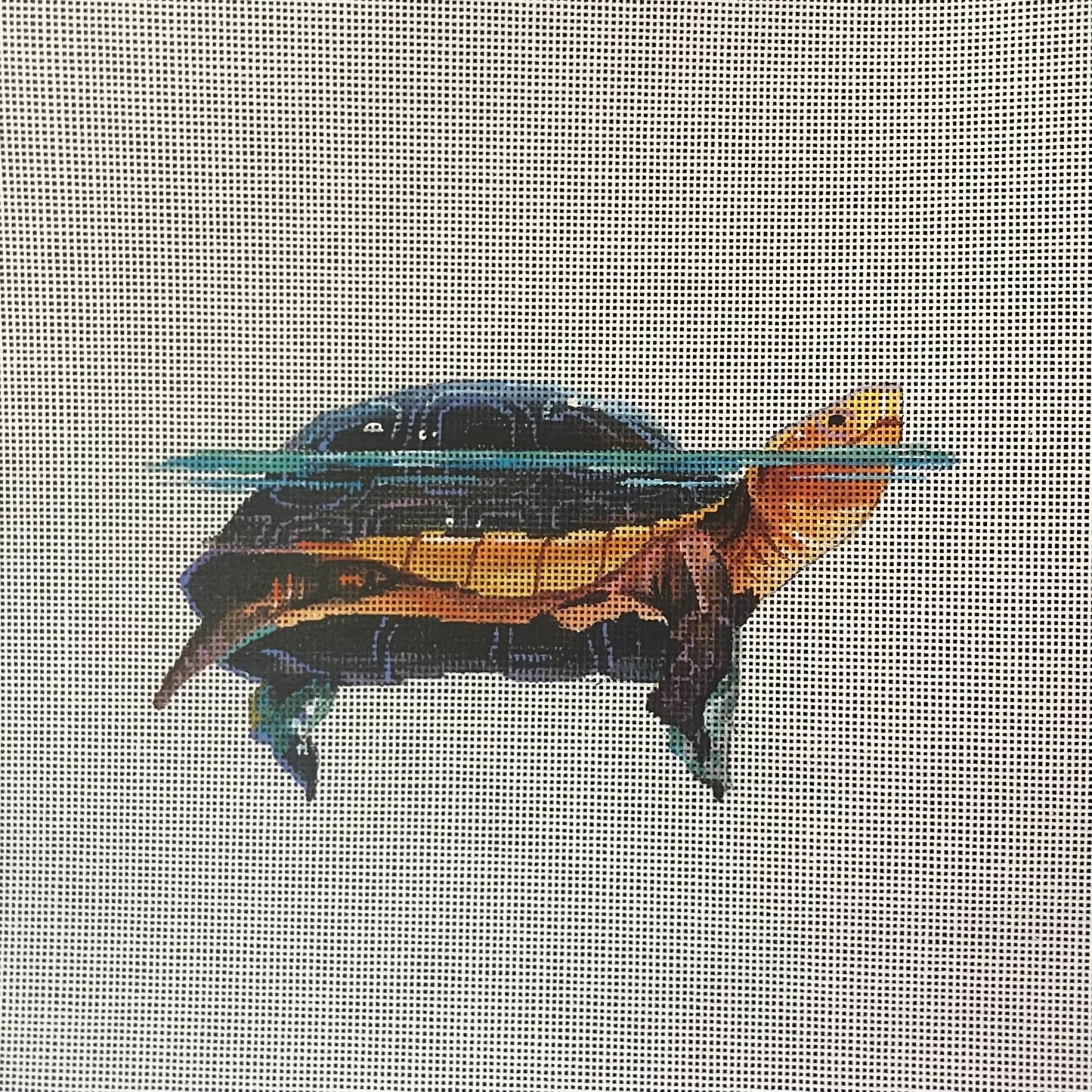 Sea Turtle
