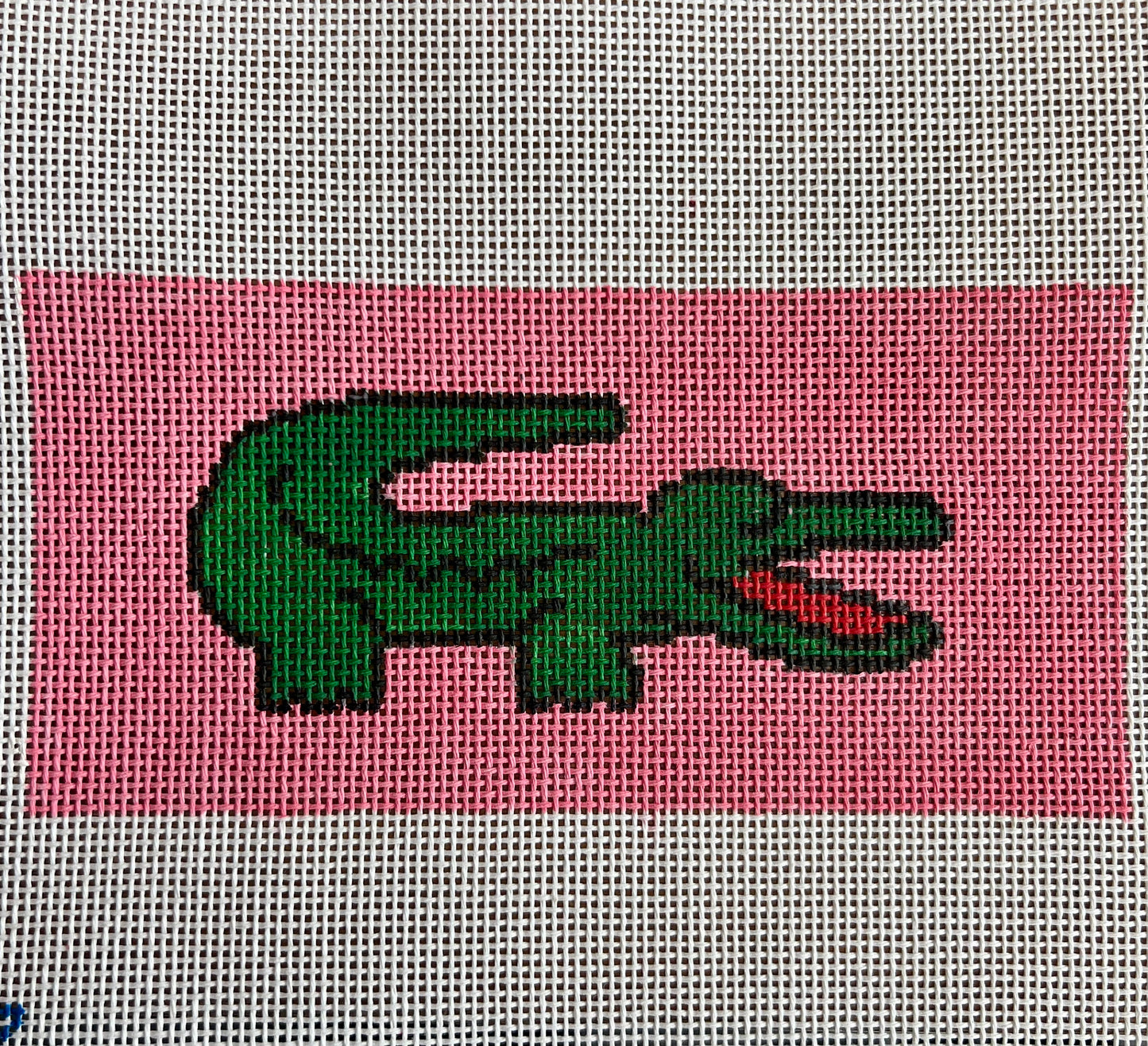 Green Gator Eyeglass Case
