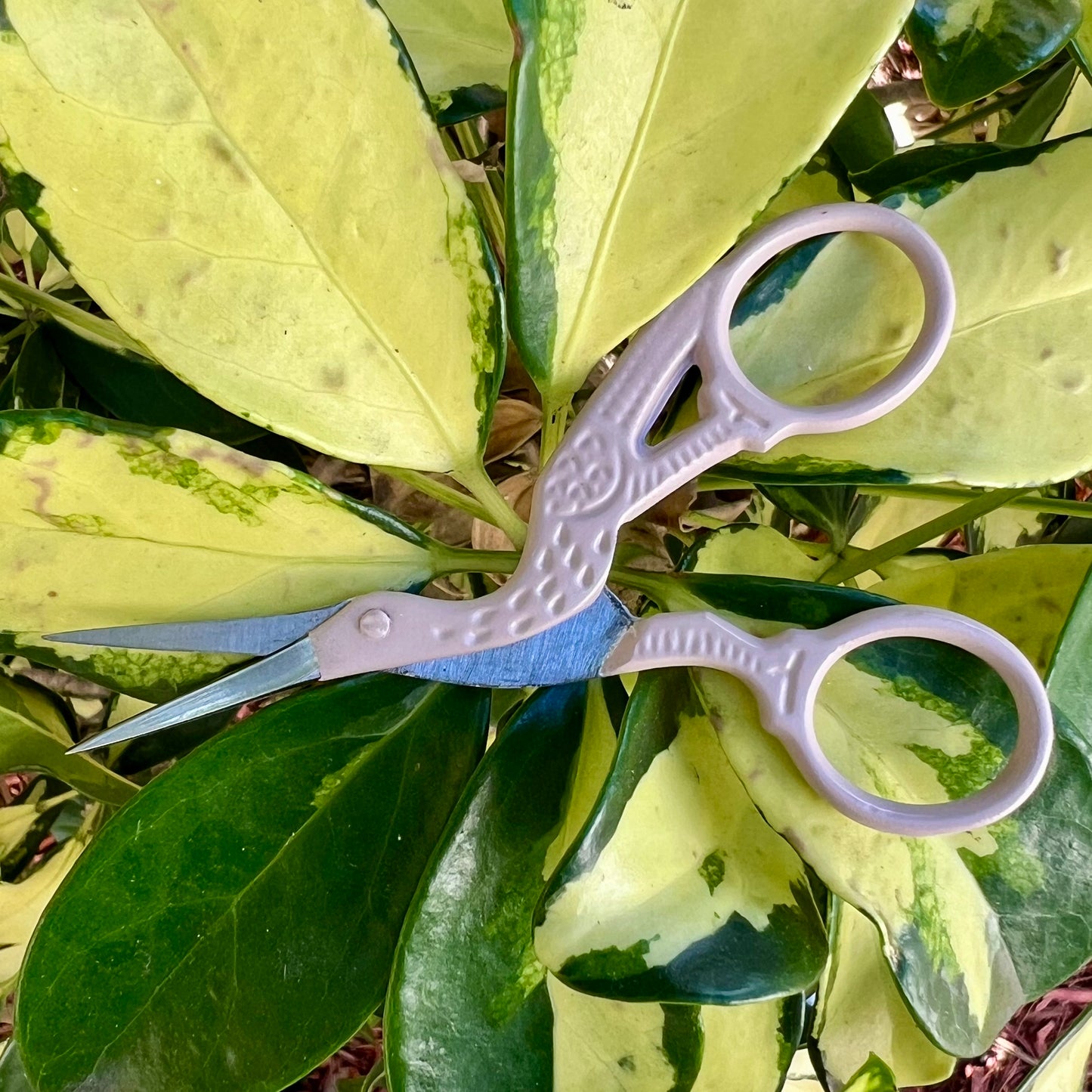 Tan Bird Scissor