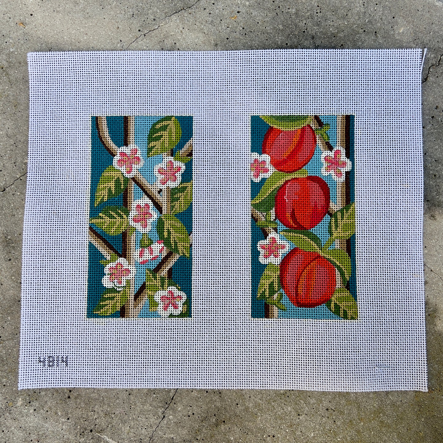 Peach Eyeglass Case