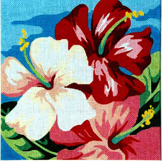 Square Hibiscus