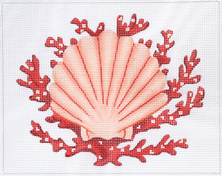 Scallop Shell with Coral