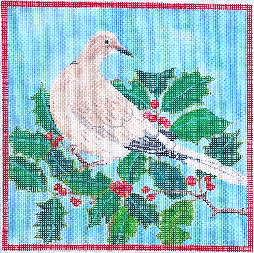 Dove in Holly Branch