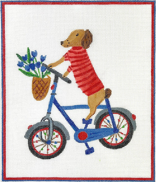 Dogonit Pup on Blue Bicycle