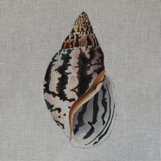 Seashell