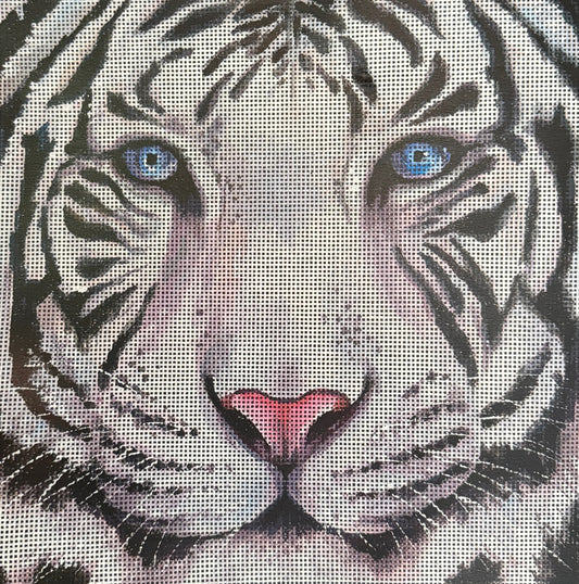 Close Up Siberian Tiger Face