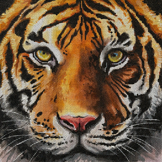 Close Up Tiger Face