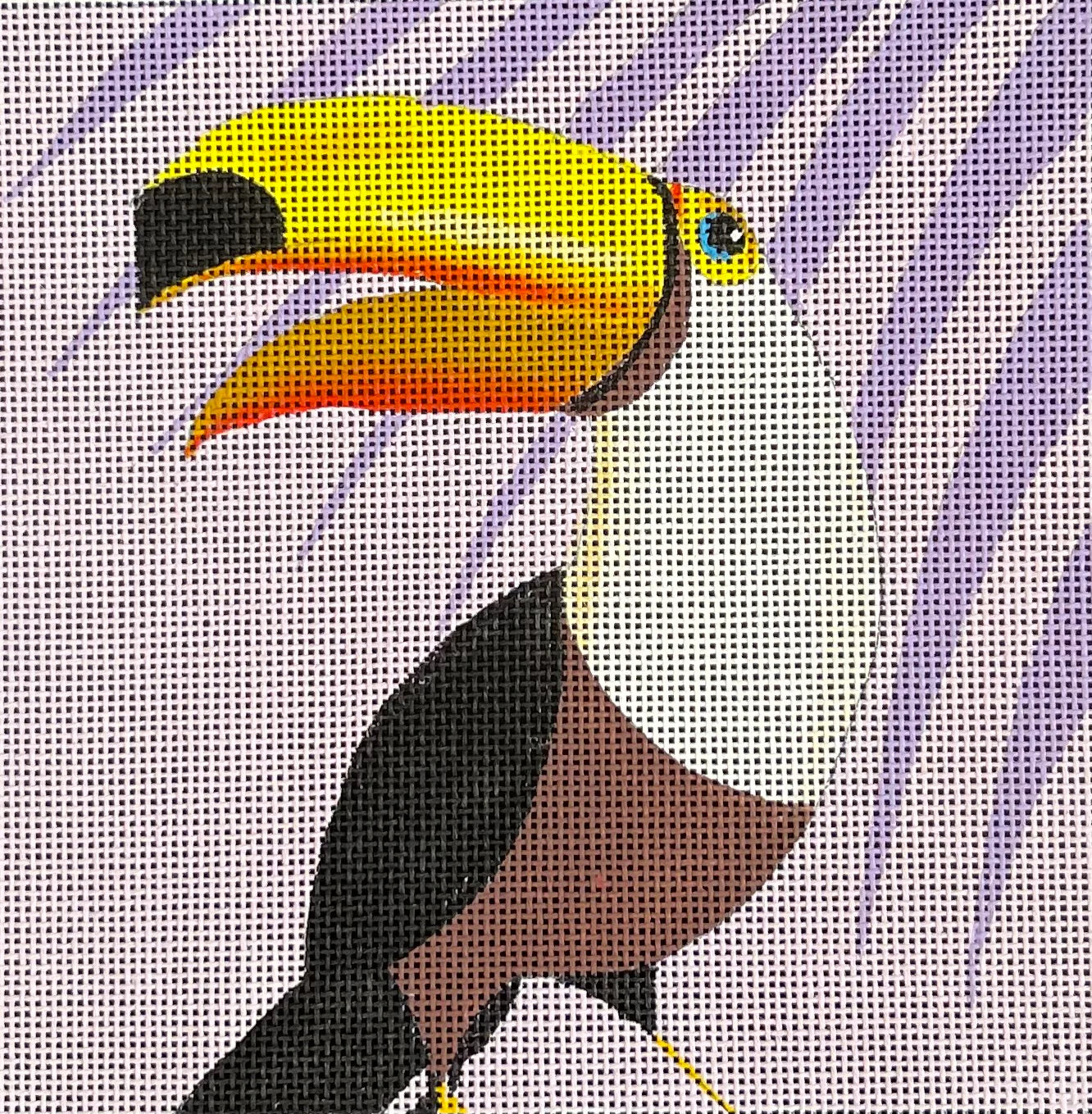 Toucan