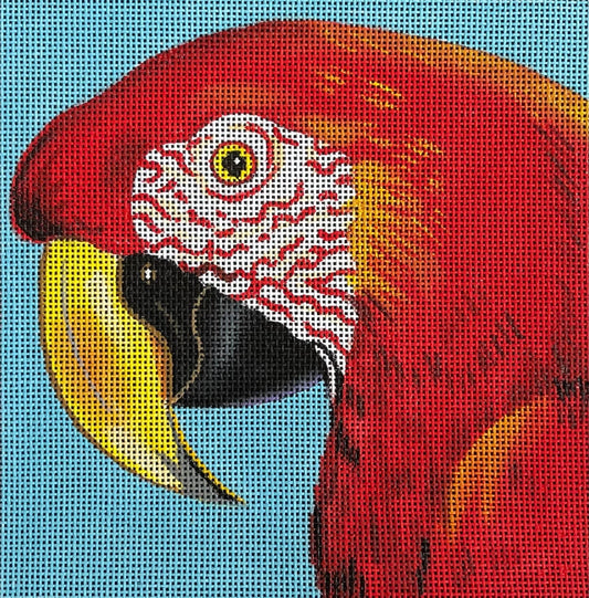 Red Parrot