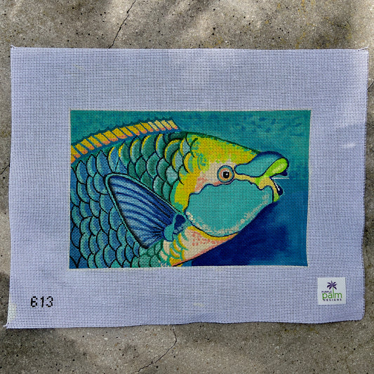 Parrot Fish