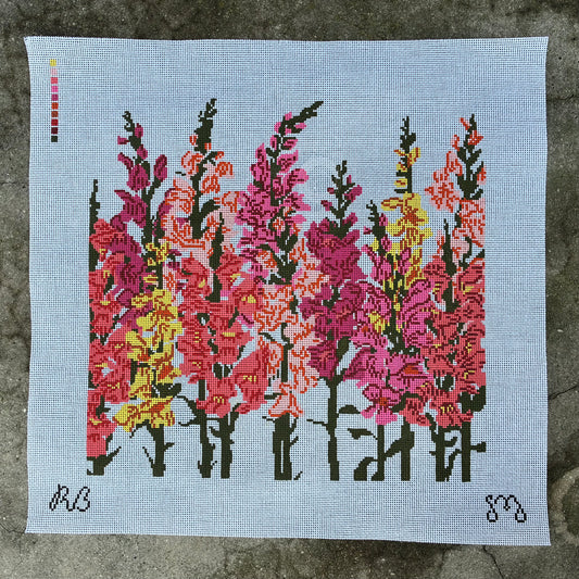 Snapdragons