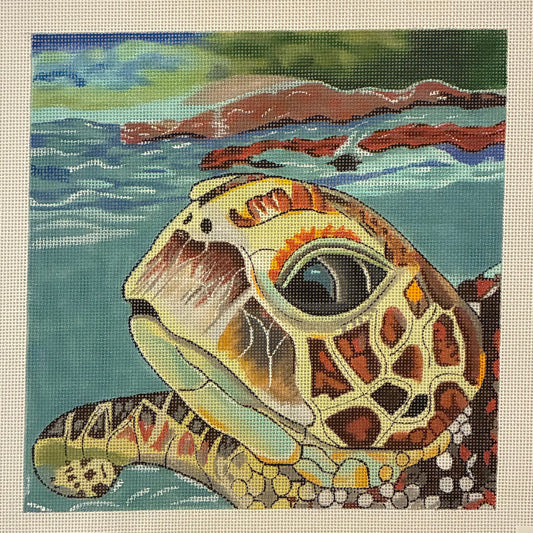 Loggerhead Reflections Turtle