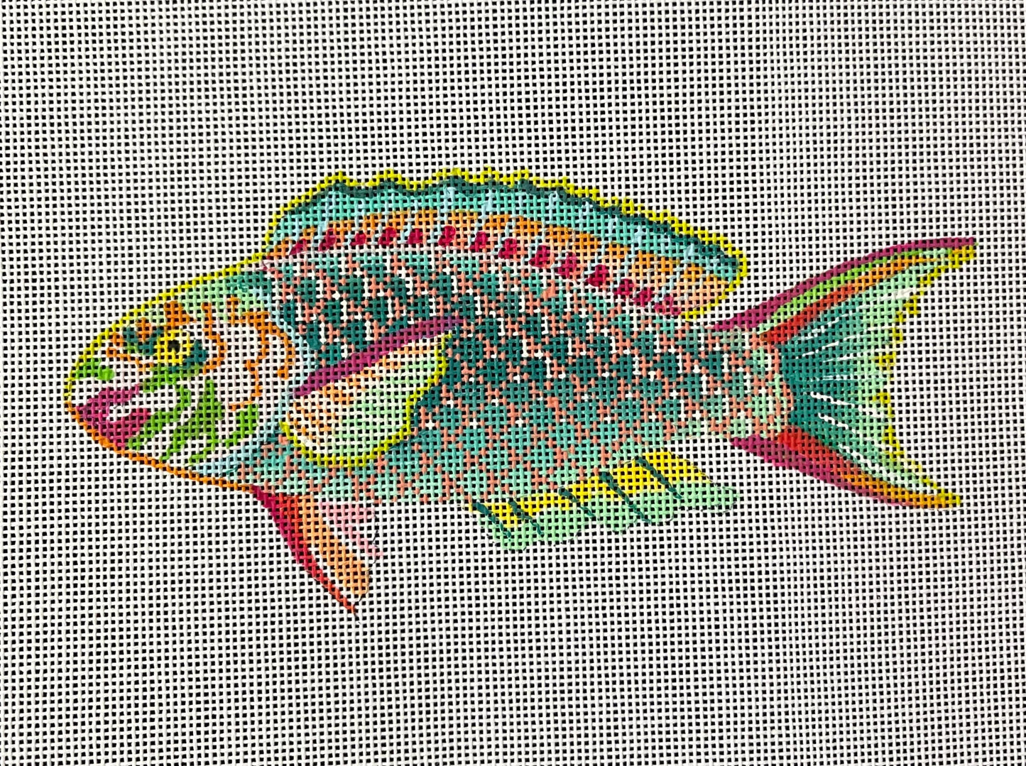 Rainbow Fish