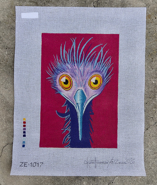 Bug Eyed Bird