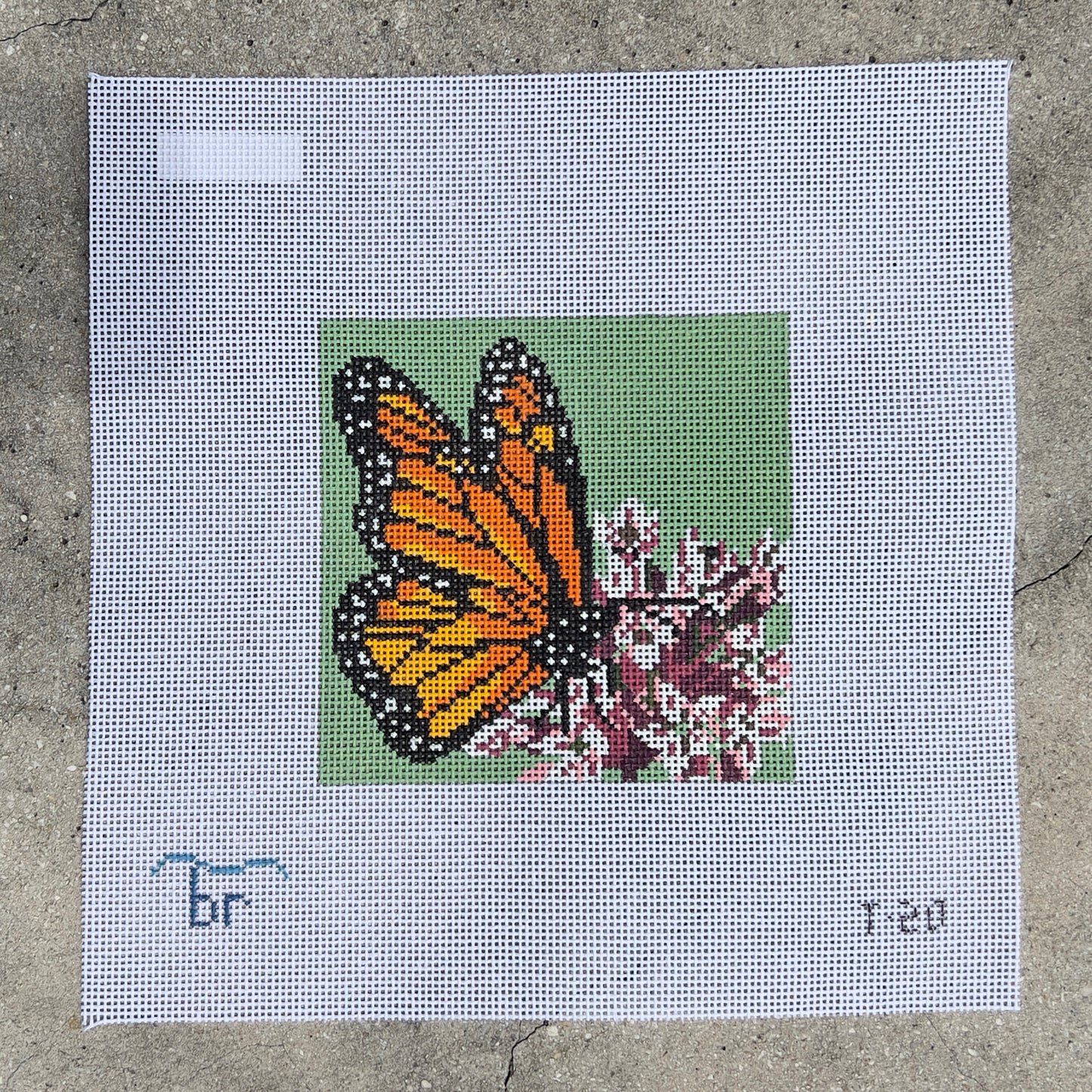 Monarch on Milkweed