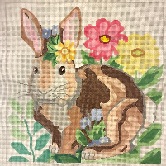 Bunny Rabbit