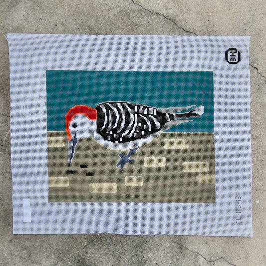 Woodpecker