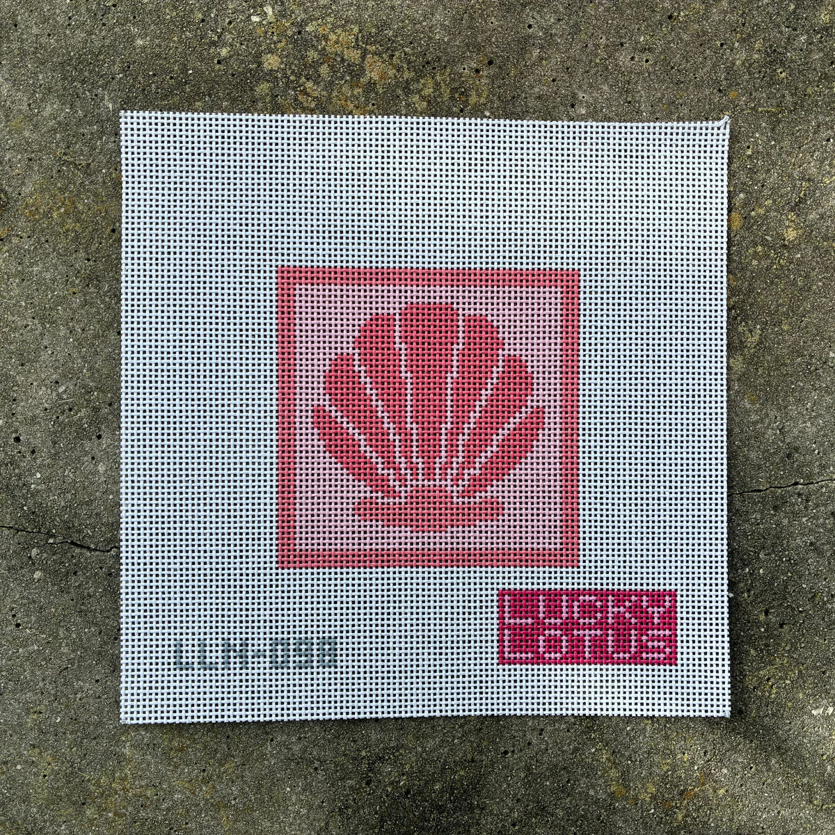 Scallop Sea Shell