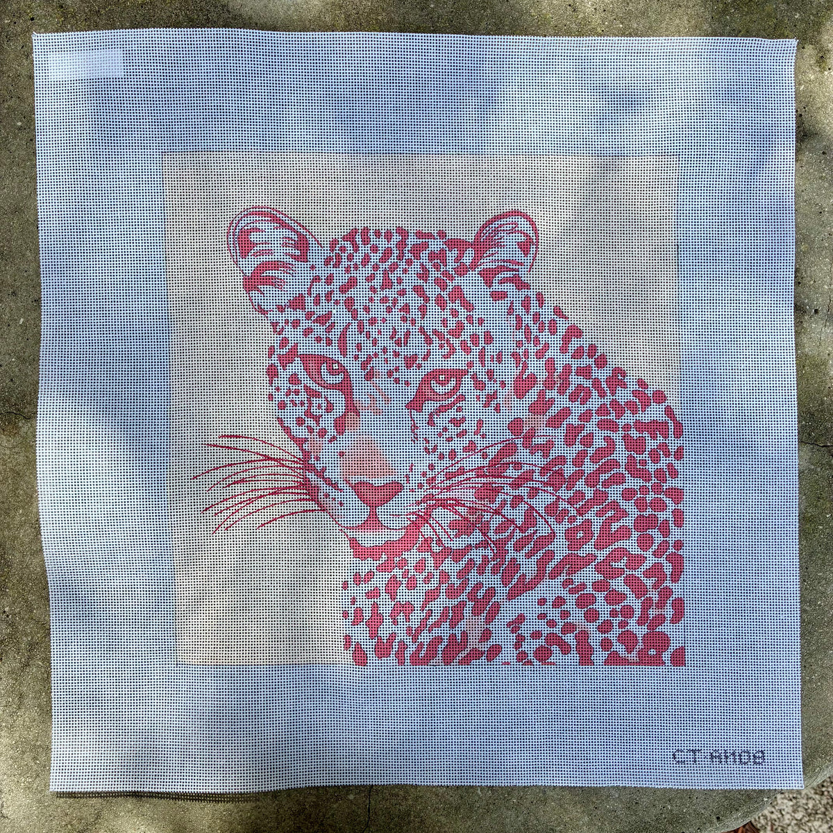 Pink Leopard