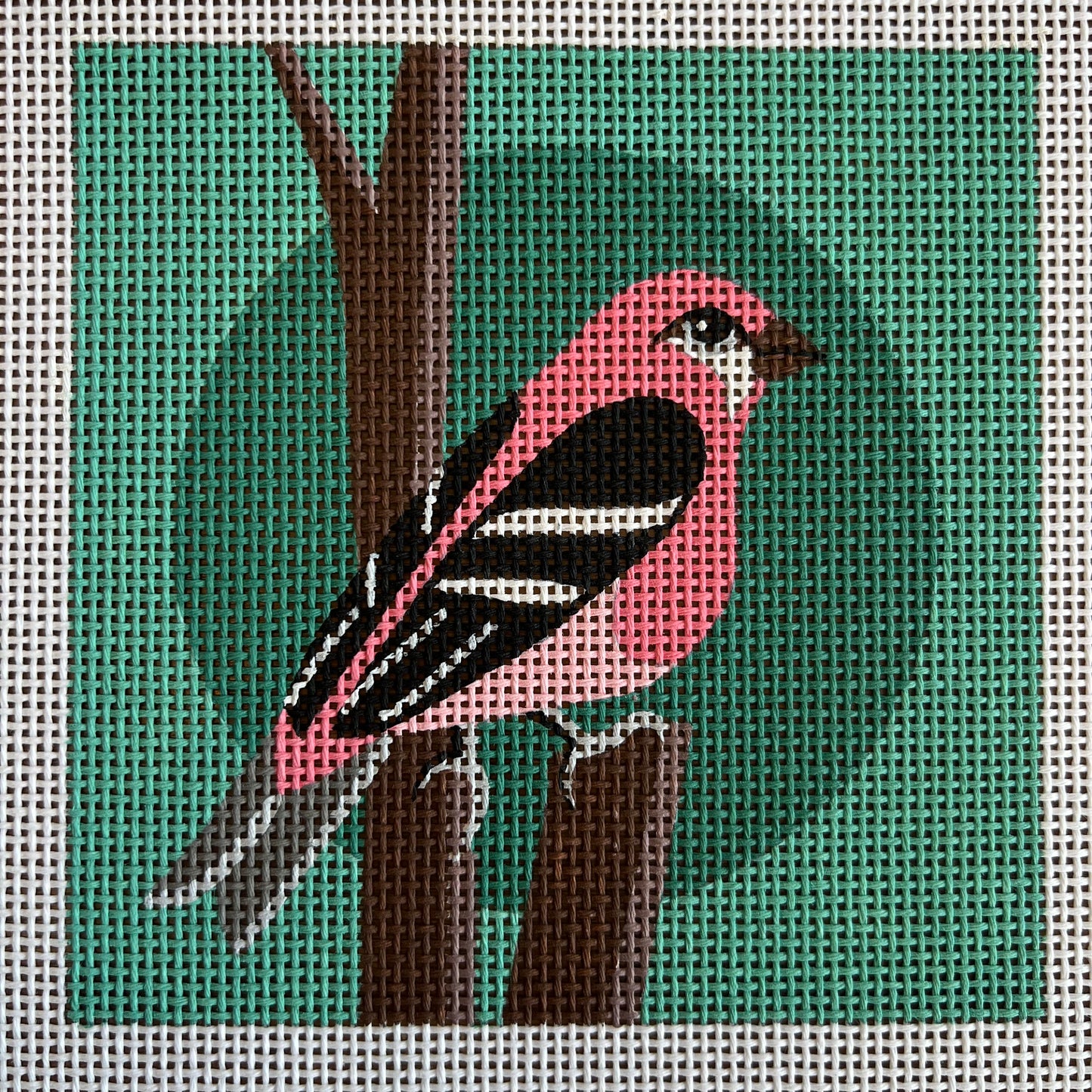 Pink Bird on Teal