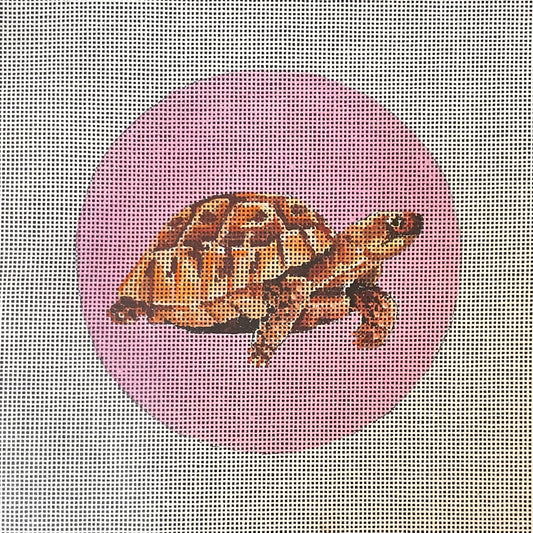 Turtle on Pink Ornament Round