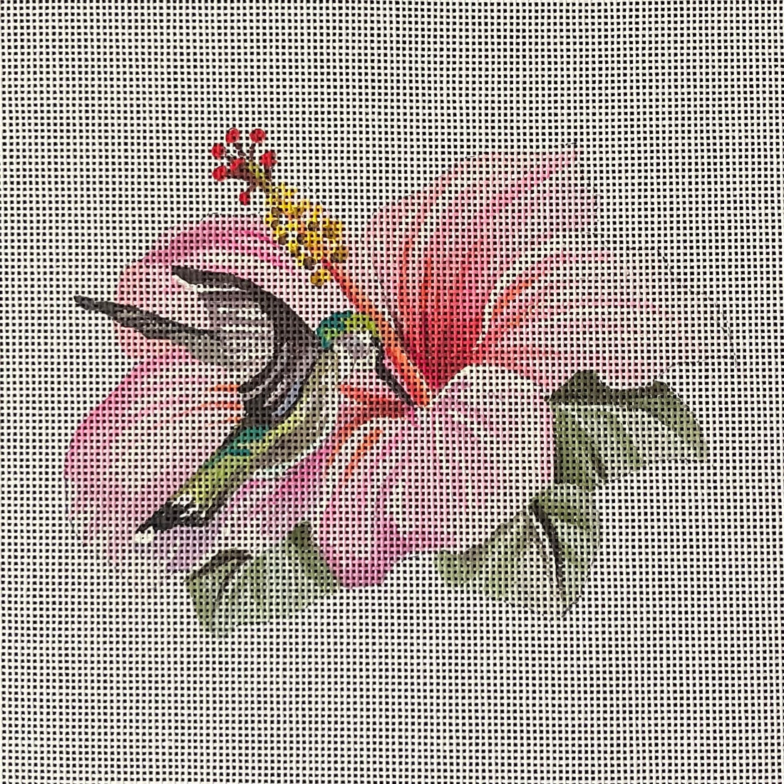 Hummingbird and Hibiscus