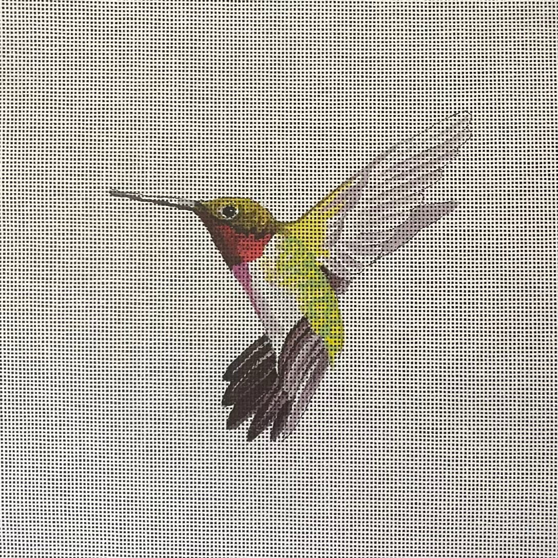 Hummingbird