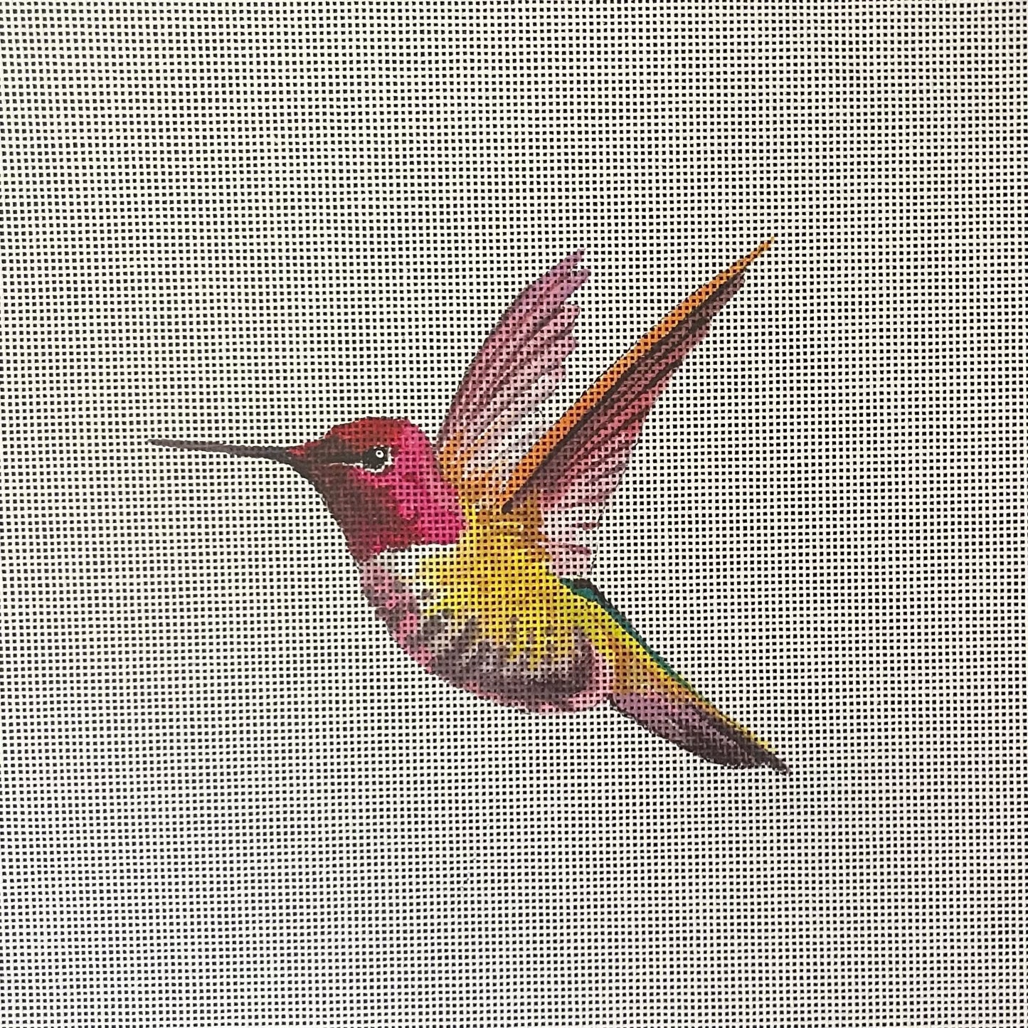 Hummingbird