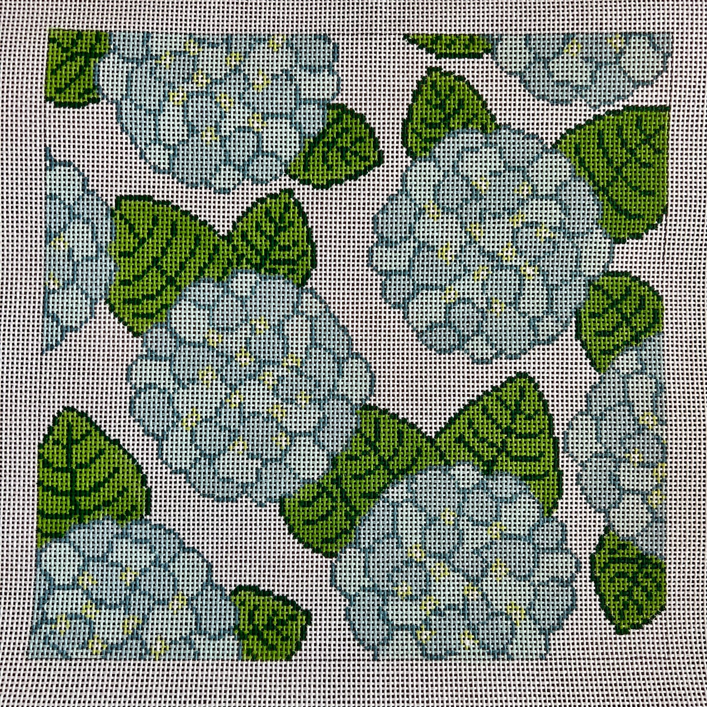Blue Hydrangeas