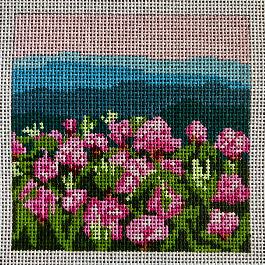Rhododendron Mountain