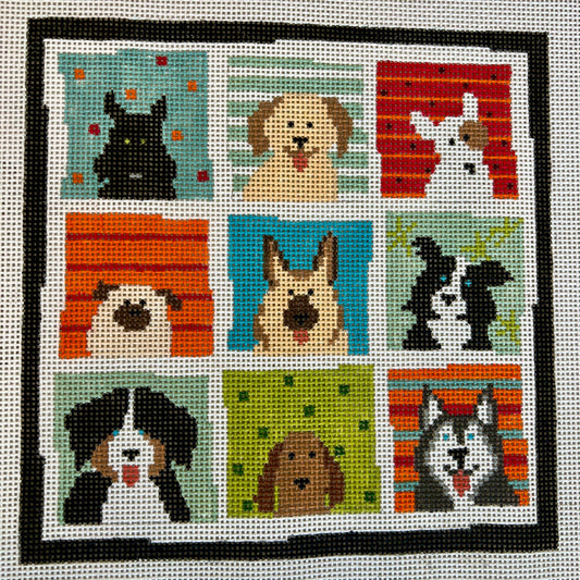 So Many Dogs!