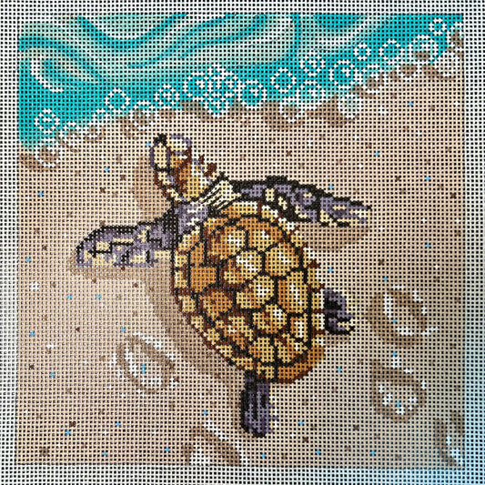 Sea Turtle