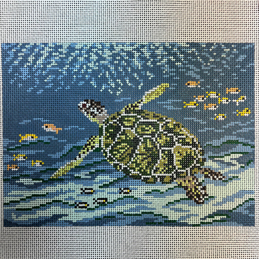 Sea Turtle