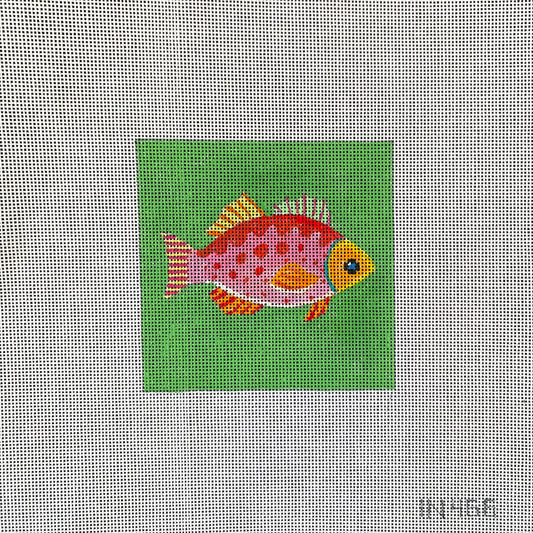 Colorful Fish 4" x 4" Square