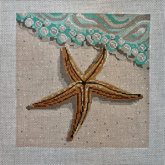 Starfish on the Beach