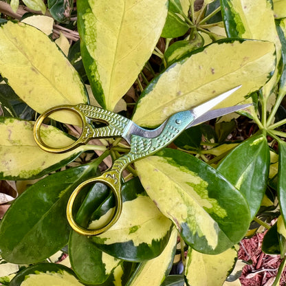 Peacock Stork Scissor