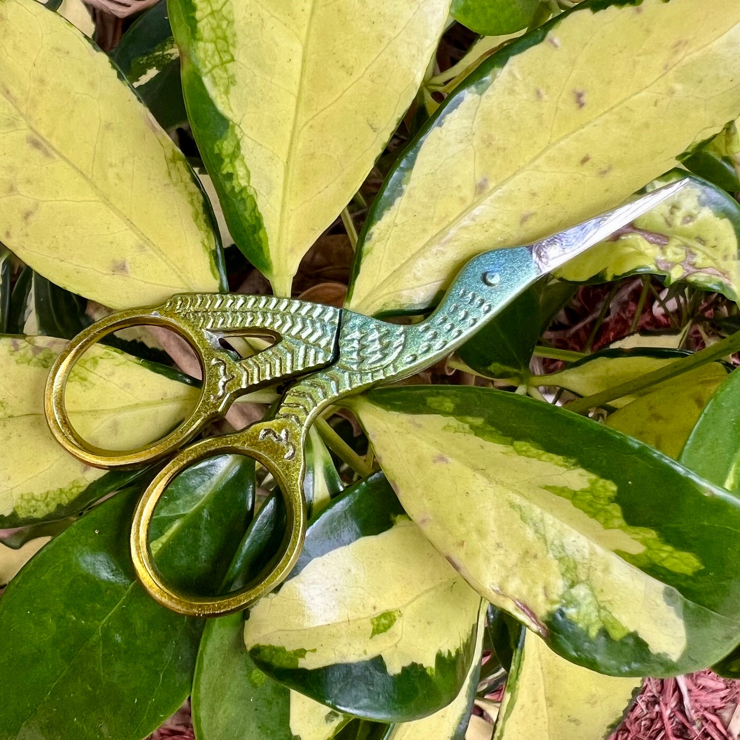 Peacock Stork Scissor
