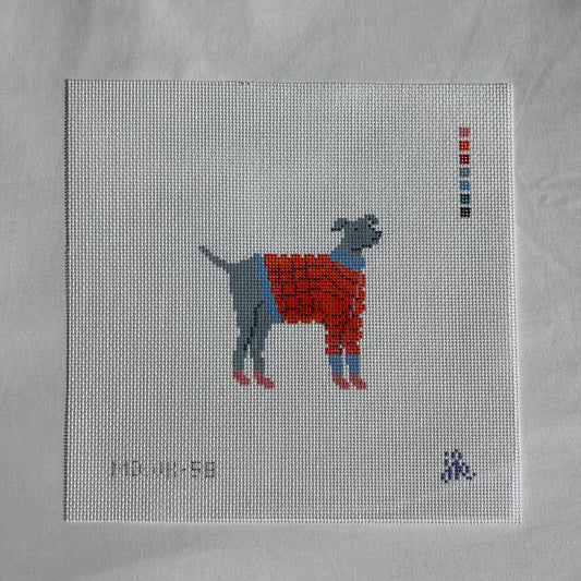 Gray Dog in Sweater