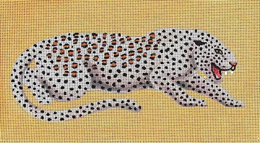Leopard on Orange