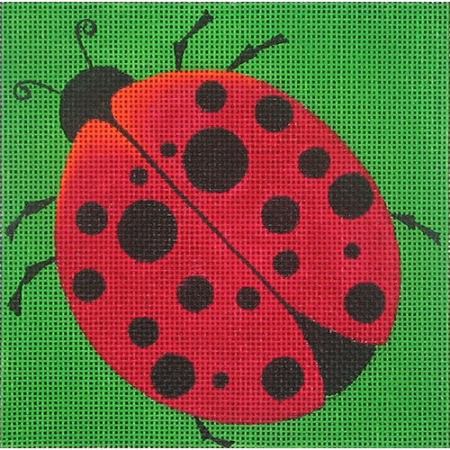 Ladybug Square